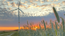 Qualitas Energy acquires 36 MW wind farm project<br />
© Qualitas Energy